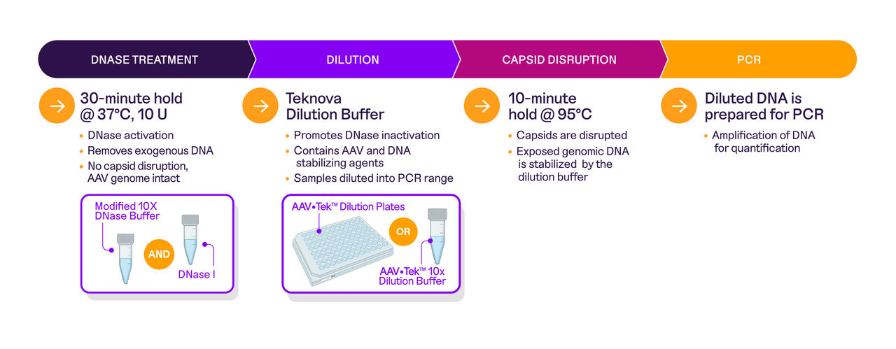 Diagram showing how the PCR Sample Kit works