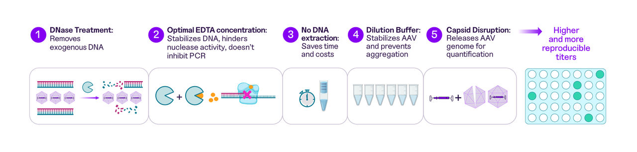 Diagram showing how the PCR Sample Prep Kit address 5 common challenges, including eliminating the need for DNA extraction
