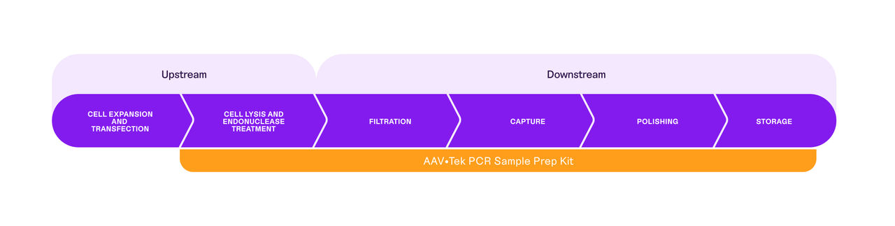Diagram of AAV workflow showing when to use the PCR Sample Prep Kit