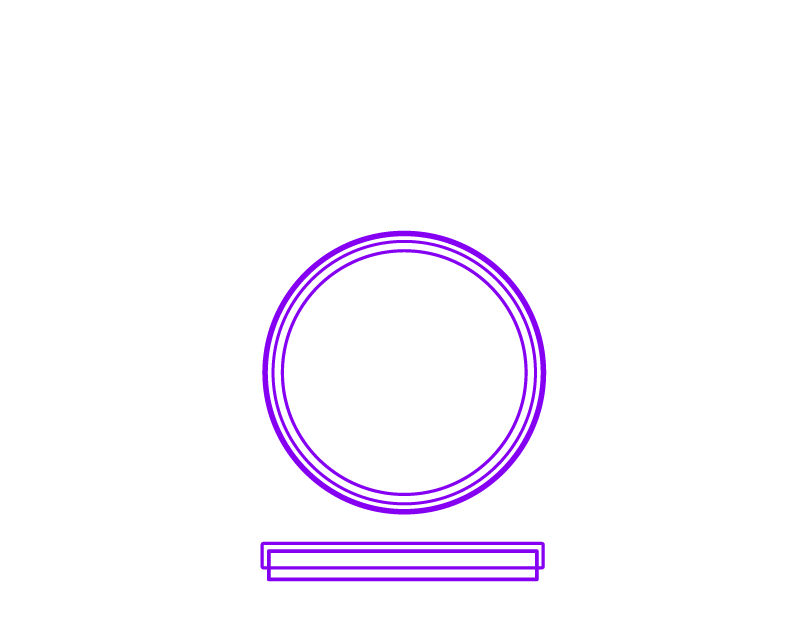 Diagram of 100 x 15 mm round plate