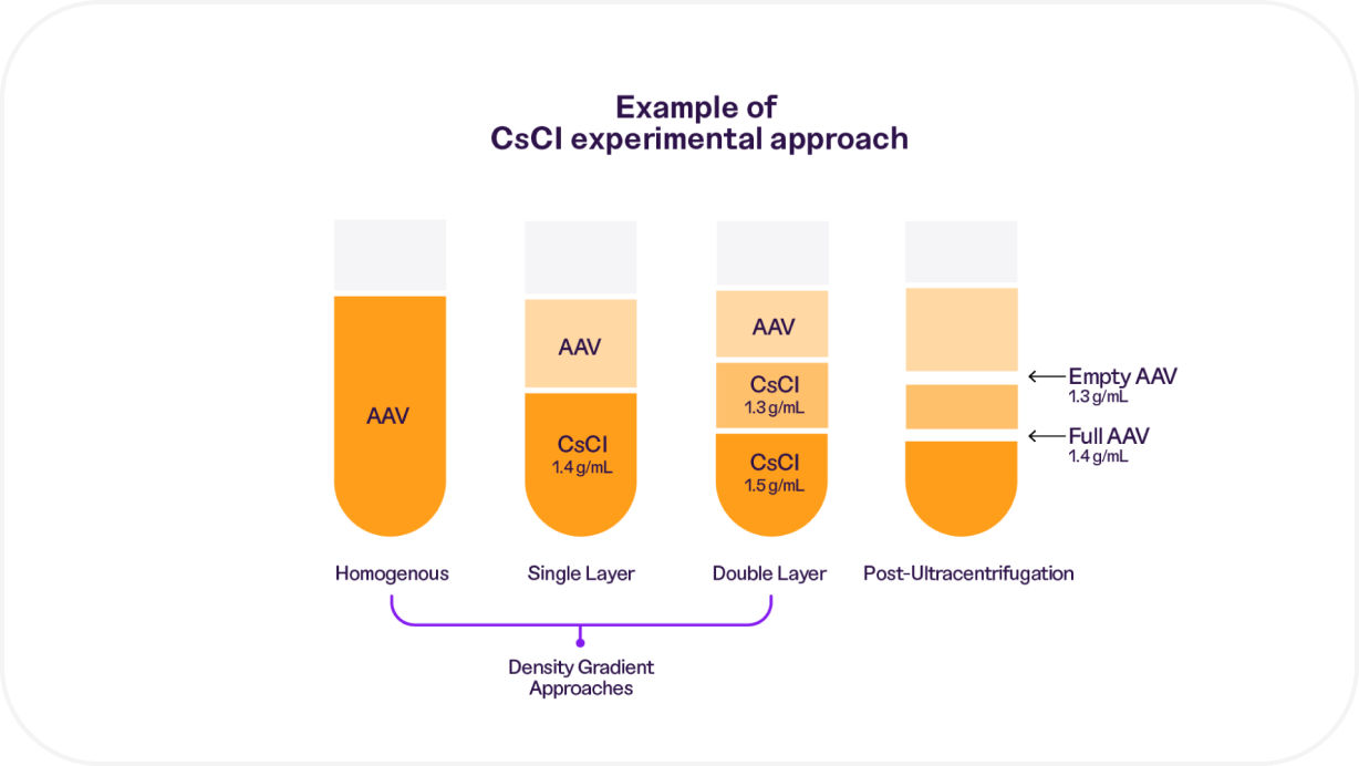 Diagram showing an example of CsCl experimental approach