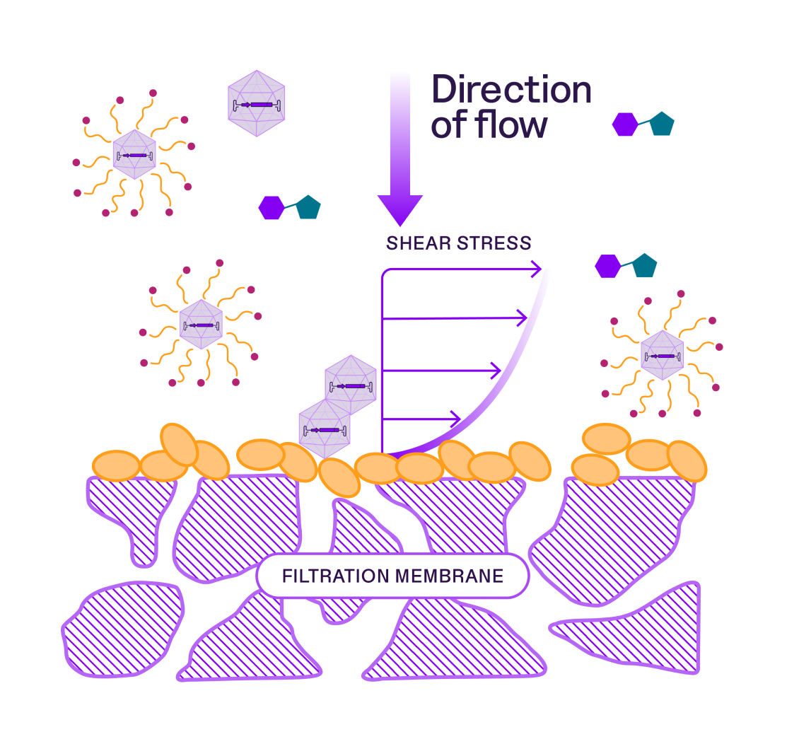 Diagram illustrating the impact of shear stress