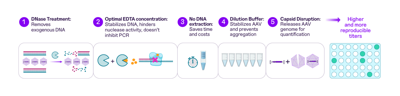 Diagram showing how the PCR Sample Prep Kit address 5 common challenges, including eliminating the need for DNA extraction