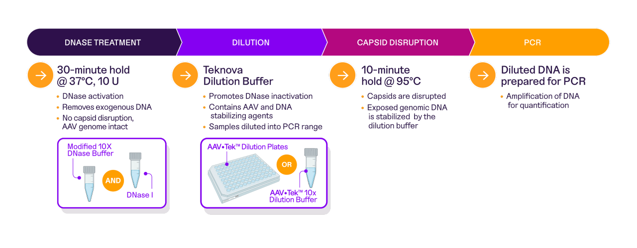 Diagram showing how the PCR Sample Kit works