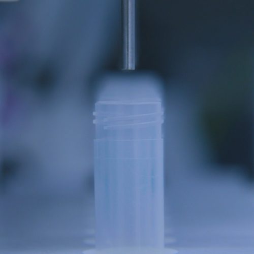 Agar plates being manually filled