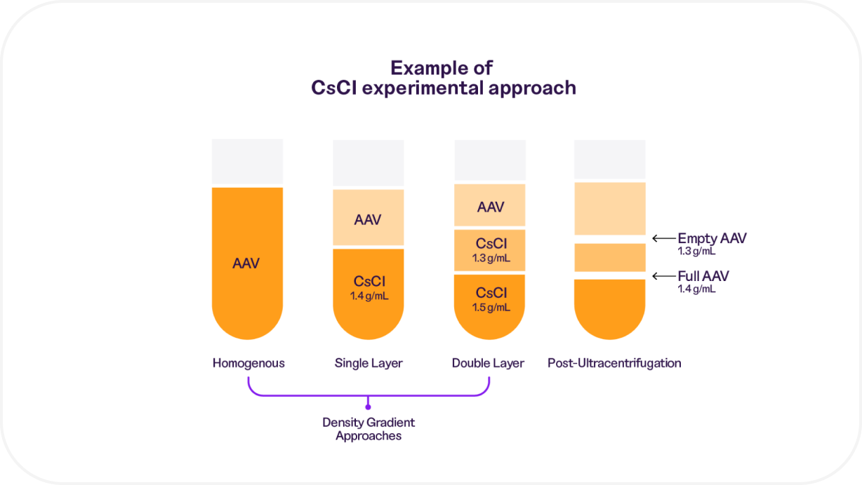 Diagram showing an example of CsCl experimental approach