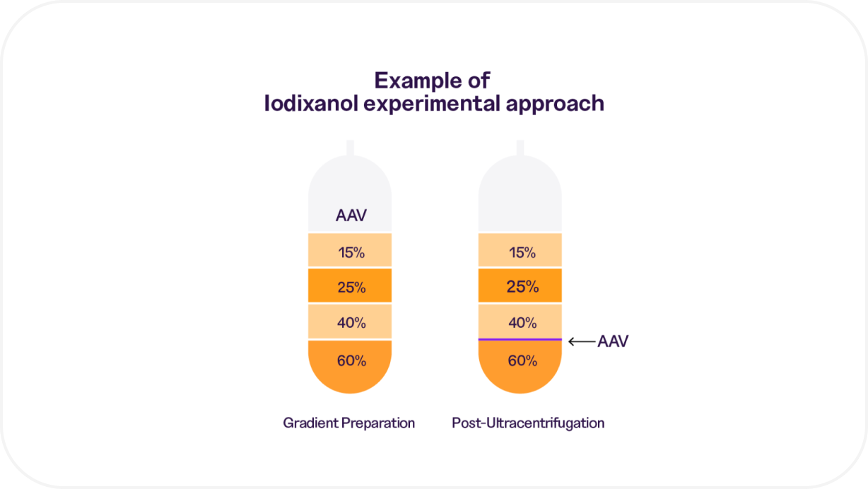 Diagram showing example of iodixanol experimental approach